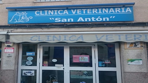 No es suficiente audición láser Clínica Veterinaria San Antón